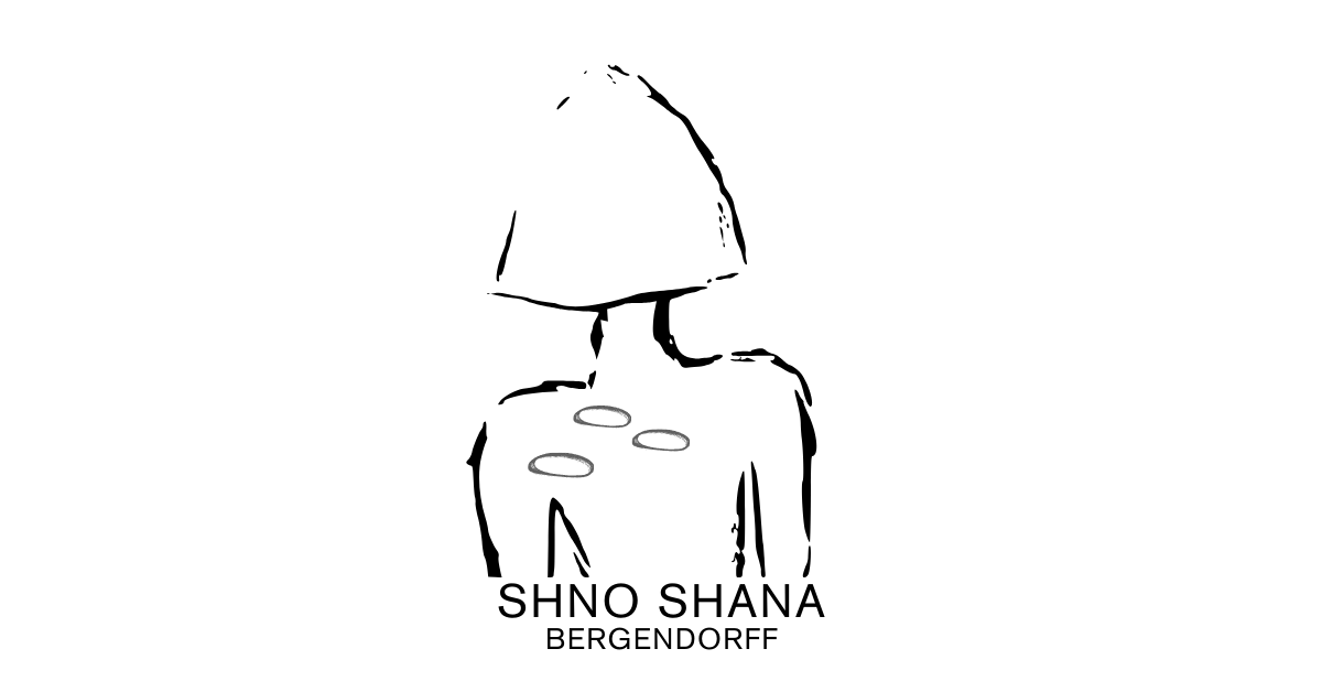 Shno Bergendorff logo